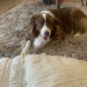 Meet your Posher, Keeley